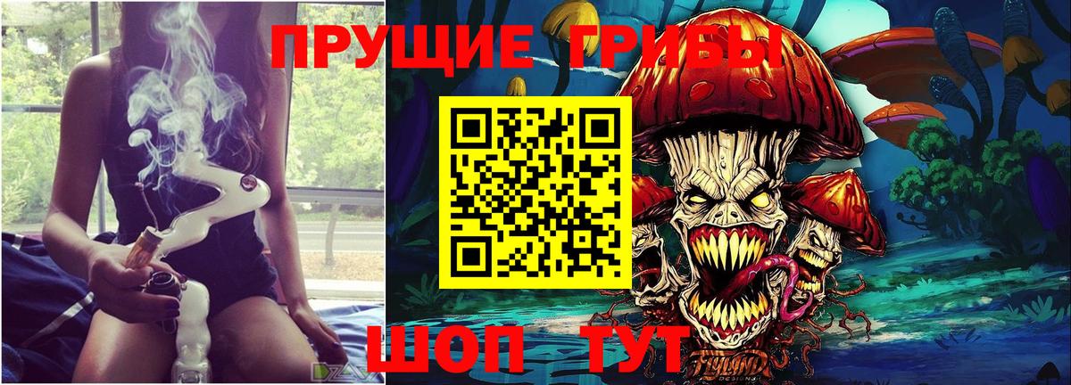 где найти наркотики  Вход с VPN  Сызрань  Псилоцибиновые грибы GOLDEN TEACHER 